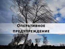 Оперативное предупреждение на 29-30 декабря 2023.